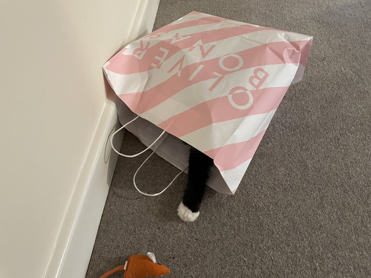 EricTheCat_Bham's tweet photo. Think we know what I’m interested in now …. 🙀😹😹 #CatBrother
#Cats #JellyBellyFriday #Hedgewatch #CatsOfBirmingham #FridayFun https://t.co/7Q4Jl55Cko