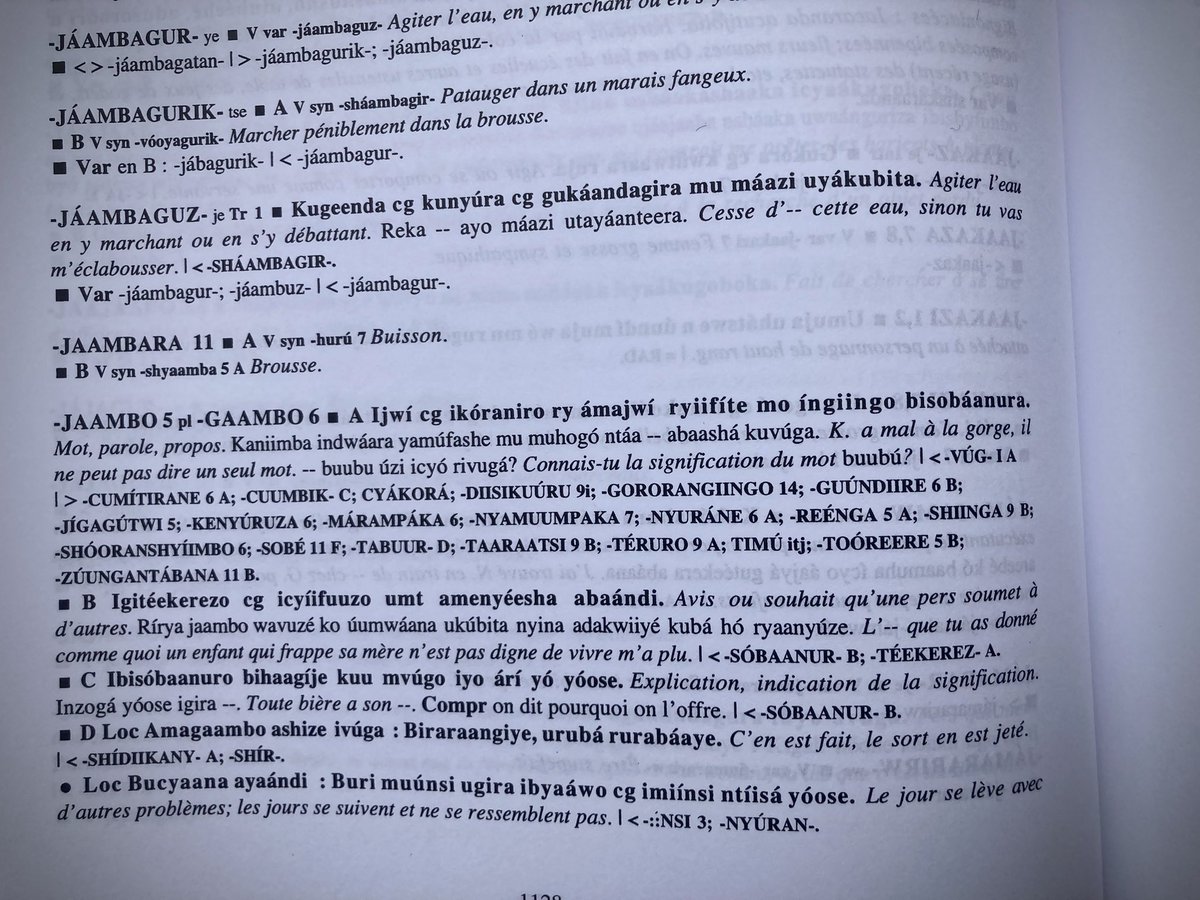 Aujourd’hui nous avons eu le plaisir de donner un exemplaire du dictionnaire encyclopédique Kinyarwanda-Français à la bibliothèque du Centre Culturel Francophone de Kigali. Ce chef d’œuvre philologique est le fruit d’une collaboration entre <a href="/africamuseumbe/">The AfricaMuseum</a> et l’ancien IRST Butare