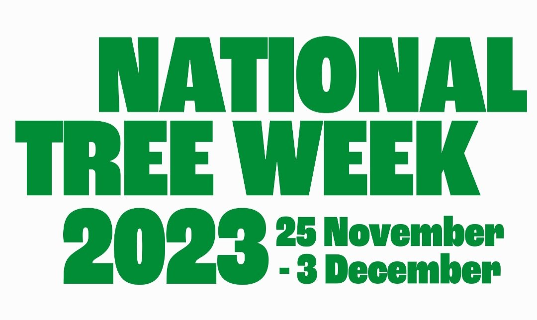 Next week (27th Nov) marks the start of National Tree Week! <a href="/TheTreeCouncil/">The Tree Council</a> stats show: Only 13% of the UK's total land area is covered in trees compared to an average of 46% in Europe. In England, the figure is just 10% #NationalTreeWeek #GrowATree