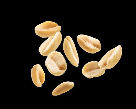 DriedFoods's tweet photo. PEANUT
https://t.co/7aVOBNGdwX
#peanut https://t.co/ZjEVuem4Bj