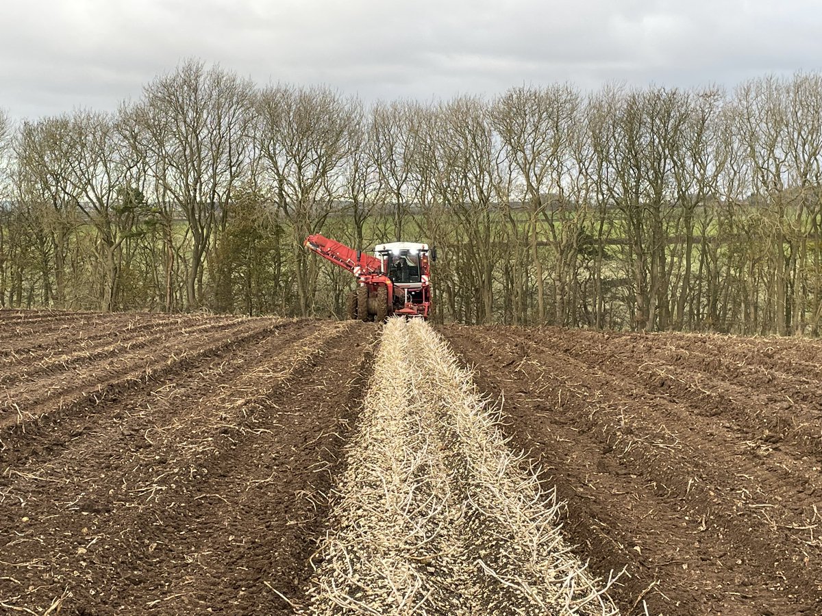 2023 🥔 ✅ 

An incredibly challenging year! Some great lessons learnt but glad to see the back of it. Onto the next challenge… storage!