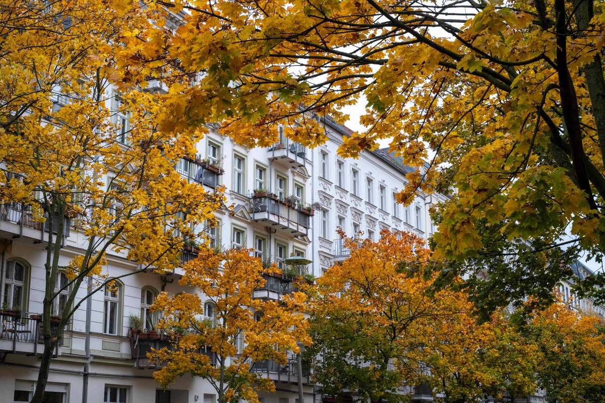 The Berliner Magazine tweet media