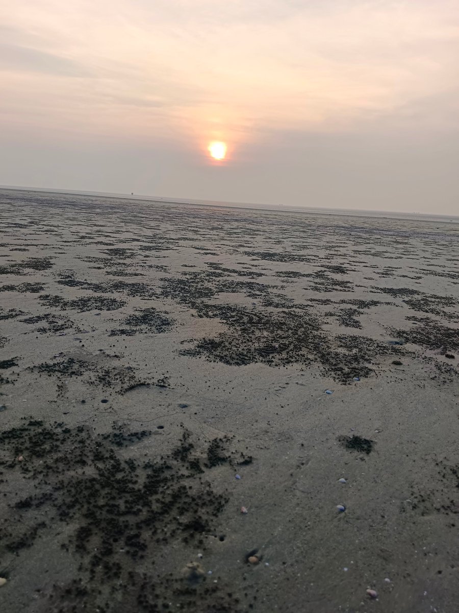 Raktim Paul (@paulraktim21) on Twitter photo 