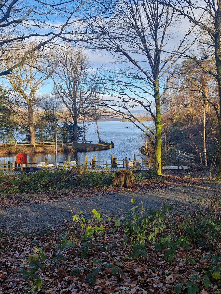 Millfields Primary tweet media