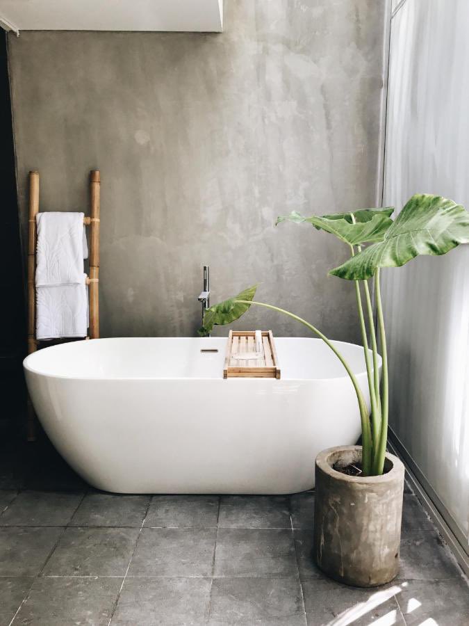 catsedih's tweet photo. libur akhir tahun seru ke BALI ngga sih? Kata gue teh YES ya! nih 2 rekomendasi hotel 👀

1. 📍Lloyd Inn Bali 

aesthetically pleasing di semua sudutnya, mana suasana nya calming banget 🥹🤍 bisa di book di Traveloka yah! banyak hotel yang diskon nih, cek: https://t.co/SAlXlnRc27 https://t.co/x3actgJhTc