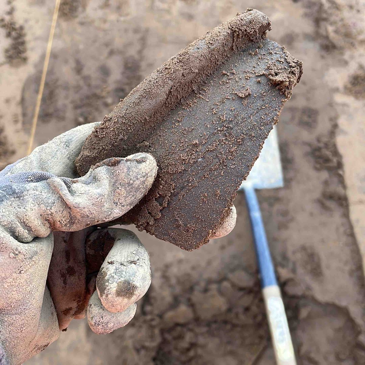 cfa_archaeology's tweet photo. Happy #FindsFriday everyone! Today we’ve got one freshly #FoundInTheGround - a lovely rim sherd of #Roman pottery recovered from a site in #NorthYorkshire 😍
#RomanTwitter #RomanArchaeology https://t.co/gTb8adT1tC