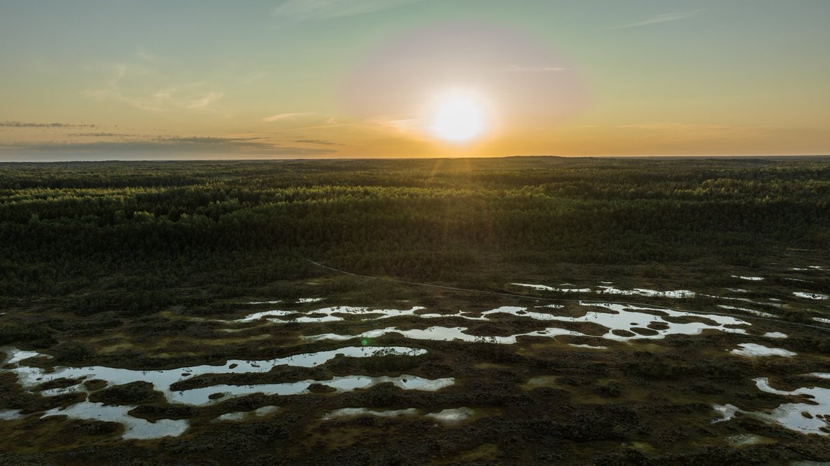 VitaPictura's tweet photo. Earlier this year part of @vitapictura’s team worked hard on a series of three television episodes about Estonia for the television channel @euronews in partnership with @visitestonia. 🇪🇪
.
.
#EuropeNews #euronews #vitapictura #destinationvideo #visitestonia #discoverestonia https://t.co/9zGDg7J6bF