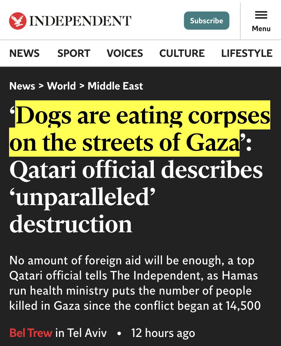 'Dogs are eating corpses on the streets of Gaza' I froze for long in front of this headline. The only 2 thoughts coming to mind were EU & US leaders smirkingly saying 'human rights, international law & civilized world' & the special place awaiting those craven monsters in hell!
