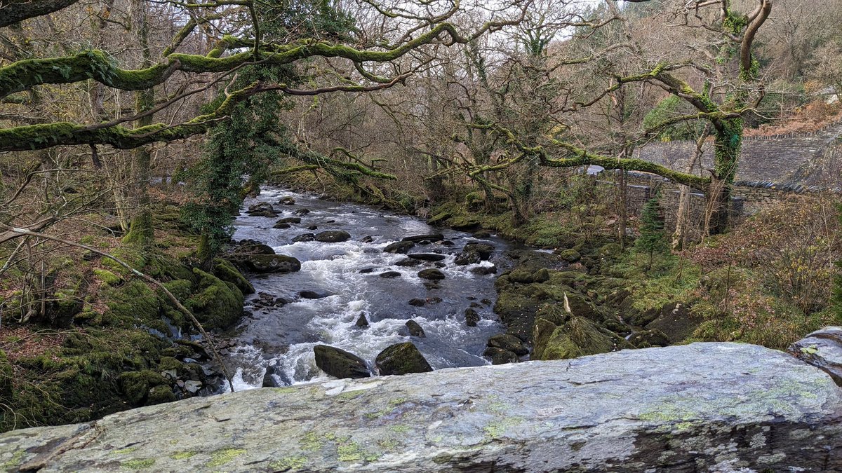 Rich Baker tweet media