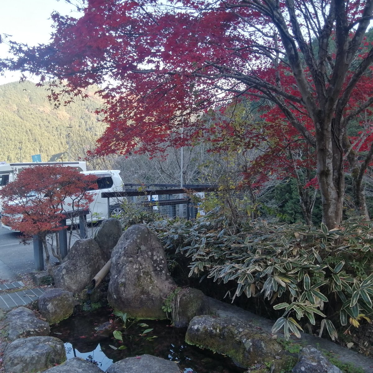 AK13_CTL's tweet photo. #これを見た人は紅葉の写真を貼る 
常緑もあって色が多い。飯能です。 https://t.co/XOjrmSB663