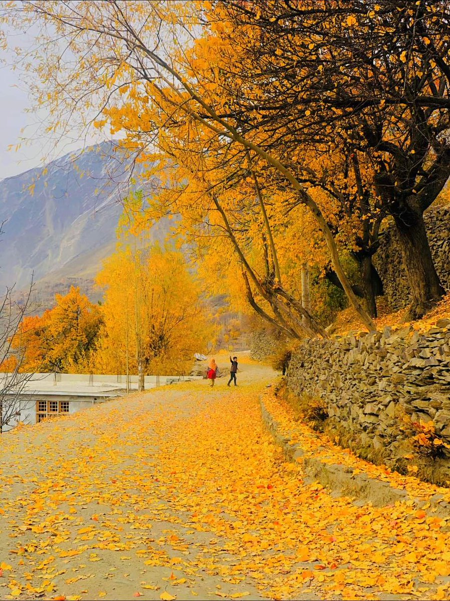 Autumn colors!!!

#MiacharNagar #NagarValley #post #postoftheday #gilgitbaltistan 

#explorenagar

@GBinPictures_ @DiscoverpakTv