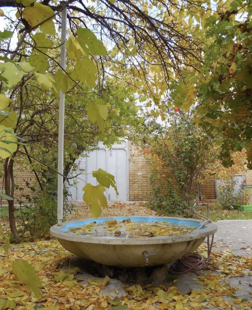 saraghanavati1's tweet image. قصهی سبز و همیشگیِ درخت و آجر...🧡
#معماری_ایرانی