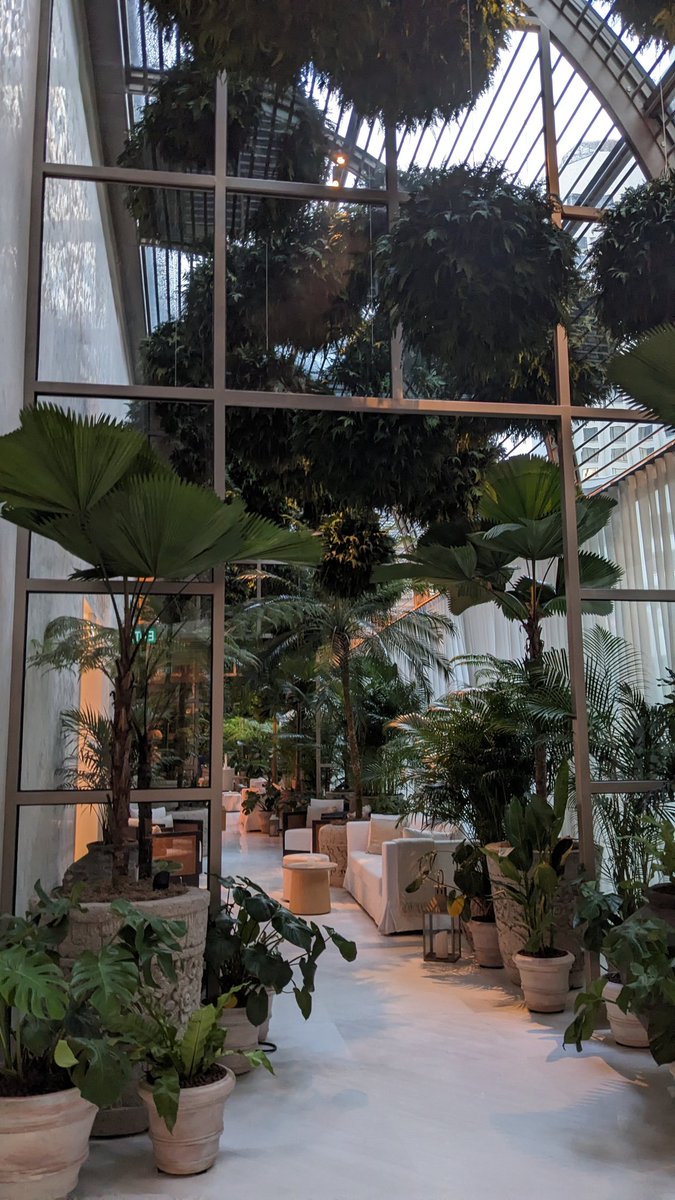 Mr luxury tweet media