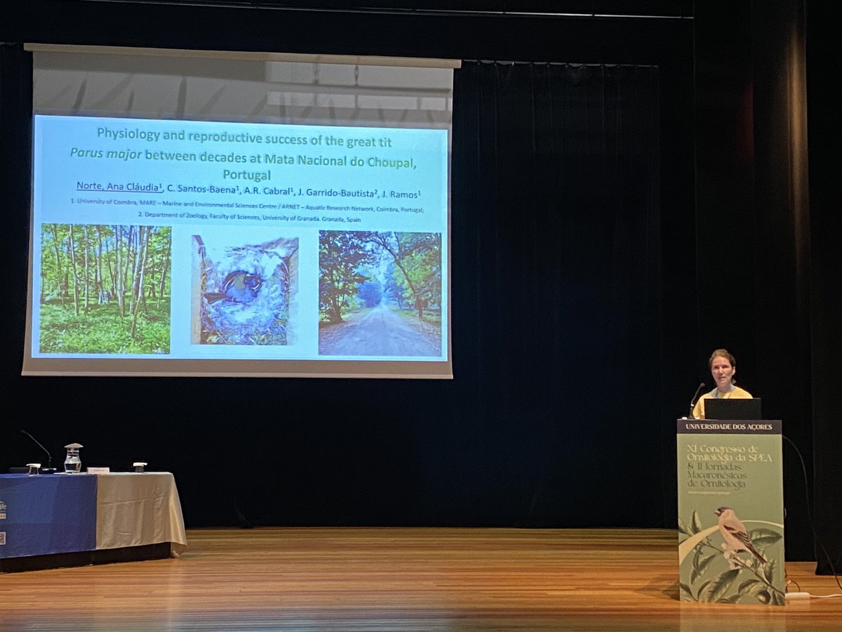 ECOTOP_UC's tweet photo. It’s a thread 🧵

Day 1 of #congressoSPEA2023 with #Ecotop presentations. Presenting data on great tit breeding at Mata do Choupal, Portugal by @anaclaudianorte and Seabirds  as bioindicators of ecosystem health by @Jormipereira @MARE_centre @DCV_UC @UnivdeCoimbra https://t.co/3tuk1XGUQA