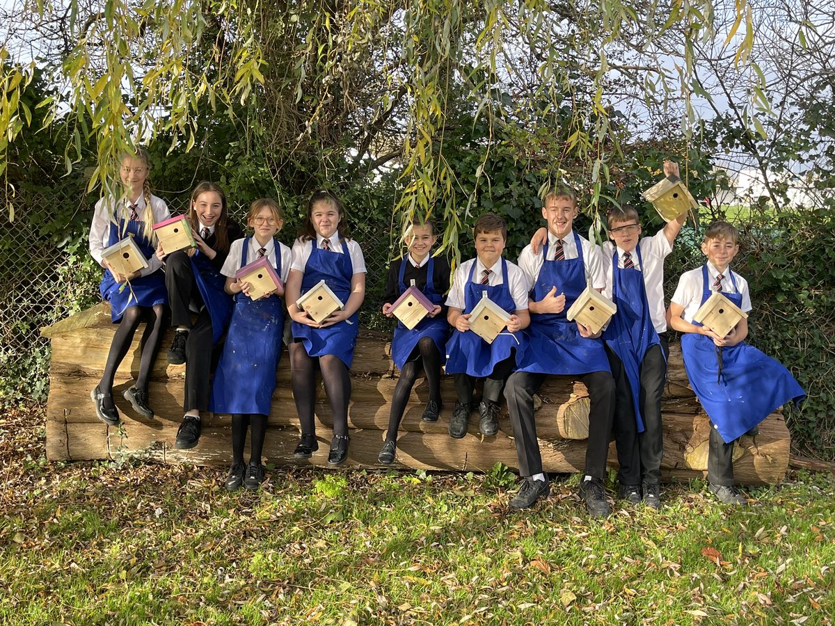 Team Tech TKASA (@tkasatech) on Twitter photo Look away parents! A selection of 7L <a href="/_TKASA/">The King Alfred School an Academy</a> bird boxes / Christmas presents! 🎁 <a href="/TKASAMrsG/">Mrs C Gibson</a> Look away parents! A selection of 7L <a href="/_TKASA/">The King Alfred School an Academy</a> bird boxes / Christmas presents! 🎁 <a href="/TKASAMrsG/">Mrs C Gibson</a>