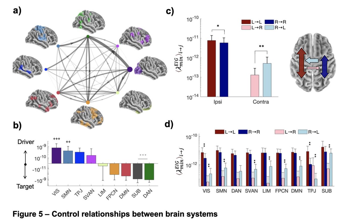 Fabrizio, de Vico Fallani (@f_devicofallani) on Twitter photo Spectral graph theory meets network controllability!
Exciting framework by #PhD <a href="/MessaoudRemy/">Rémy Ben Messaoud</a> to solve the curse of dimensionality! Applied to N=6134 connectomes <a href="/uk_biobank/">UK Biobank</a> = new brain systems causal maps + anatomical understanding of lateralization -> arxiv.org/abs/2311.11132 Spectral graph theory meets network controllability!
Exciting framework by #PhD <a href="/MessaoudRemy/">Rémy Ben Messaoud</a> to solve the curse of dimensionality! Applied to N=6134 connectomes <a href="/uk_biobank/">UK Biobank</a> = new brain systems causal maps + anatomical understanding of lateralization -> arxiv.org/abs/2311.11132