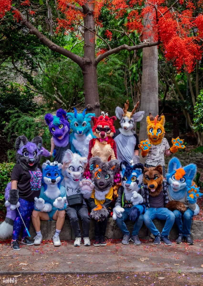 #FursuitFriday out in the wild 🌲✨️

📷: <a href="/HiddenDerg/">Hiddͩeͤnͬᵍ</a>
✂️: <a href="/LupeSuits/">LupeSuits</a>