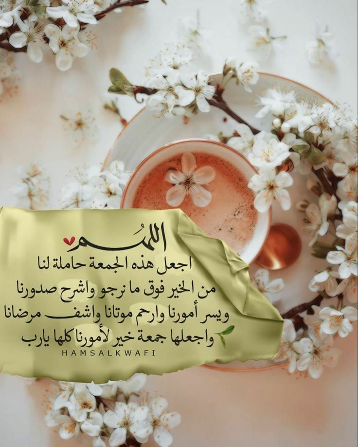 mahmod_06's tweet photo. جمعة مباركة https://t.co/l87Cb2CJNb