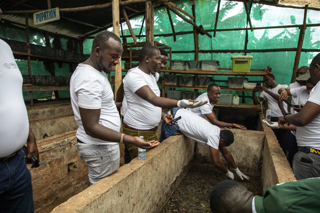 The Neycha Accelerator & Fund (@theneycha) on Twitter photo #FlashbackFriday
When our AEEs visited <a href="/scifaama/">Scientific Farmer</a>'s Agape Innovation establishment at the <a href="/Makerere/">Makerere University</a> Agricultural Research Institute Kabanyoro.
Agape produces organic agro-inputs which also include organic fertilizers. #AgroecologyNow #FlashbackFriday
When our AEEs visited <a href="/scifaama/">Scientific Farmer</a>'s Agape Innovation establishment at the <a href="/Makerere/">Makerere University</a> Agricultural Research Institute Kabanyoro.
Agape produces organic agro-inputs which also include organic fertilizers. #AgroecologyNow