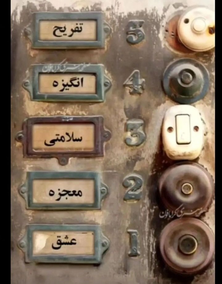 the_tahrr / قربانی شماره 423 tweet media