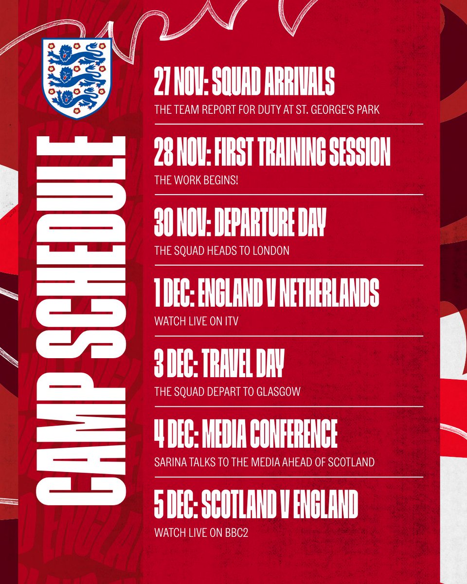 Lionesses tweet media