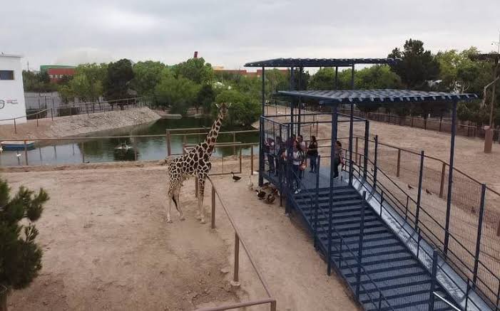 Hagamos esto viral!
El lago pestilente de agua tratada que está en medio del hábitat de Benito está contaminado con la bacteria ecoli en niveles 3 veces arriba de lo permitido en la norma.

Los estudios están en la demanda colectiva contra de 26 instancias en los 3 niveles de Gob