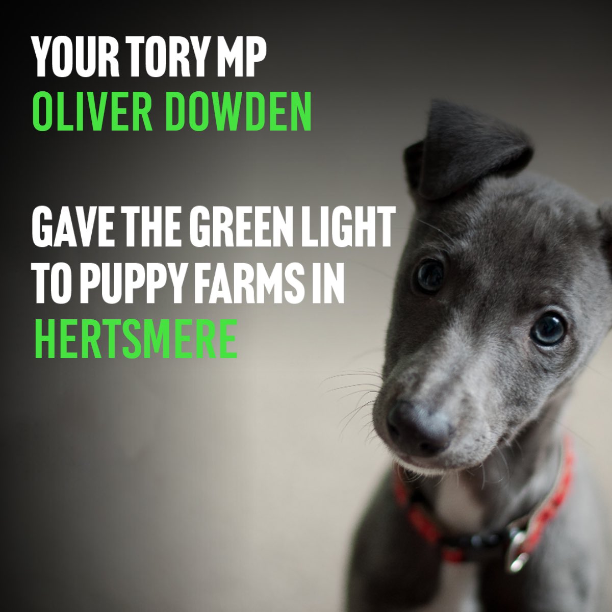 YoungLabHerts's tweet photo. By all accounts, a great year for @OliverDowden! https://t.co/6d1Ljh2Kix