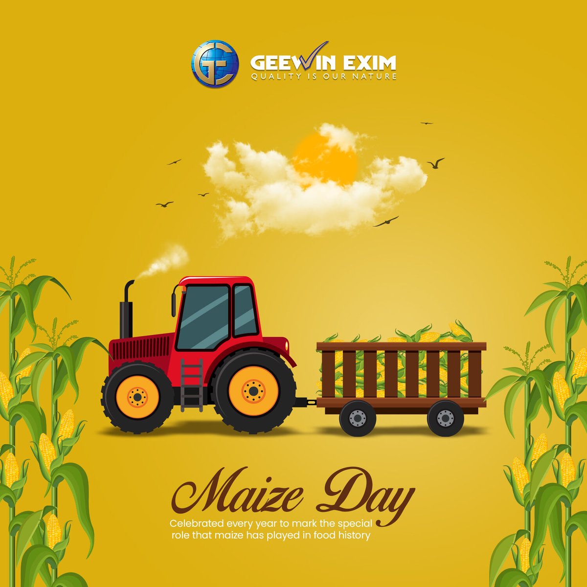 A Happy Maize Day wishes to everyone. There is one maize food that we all love and that is pop corn and we should enjoy it to the fullest.

#geewinexim #maizeday #maize #maizeprocessing #MaizeMagic #agriculture #whitecorn #yellowcorn #zeamays #snowcorn #buttercorn
