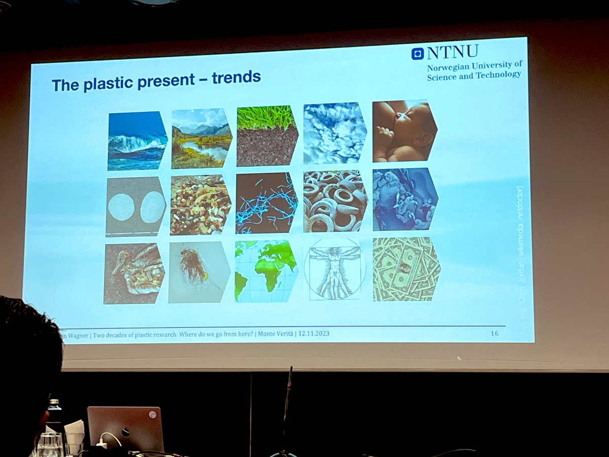 Joana MacLean tweet media