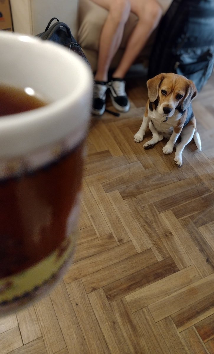 El sueño que hay humana ..!
Vamos que es Viernes 😁!
Excelente día para todos ❤️!
#BuenViernes #FelizViernes