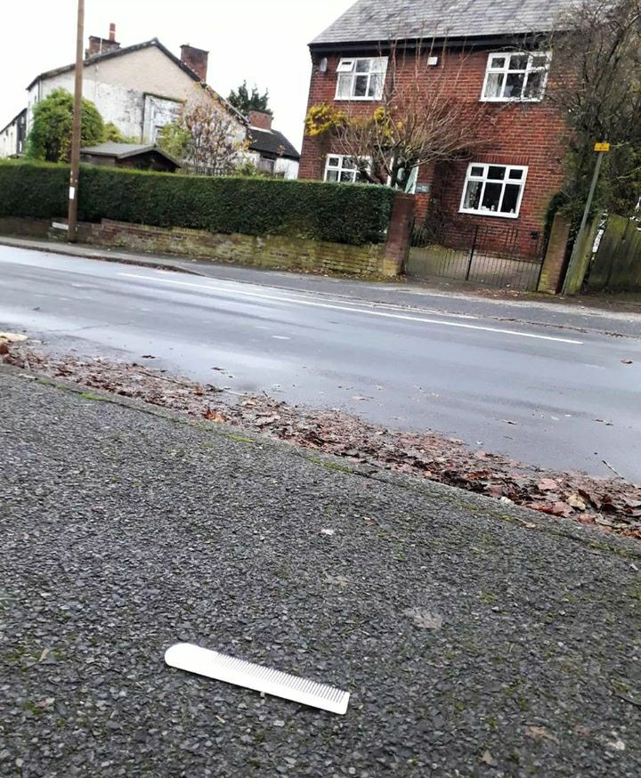 misheleneous's tweet photo. Tiny furry protest singer meets personal grooming equipment on the streets of Prestwich... 📢 #WeShallOverComb 💪
We've heard of Beach-Combing but does Street-Combing exist? Pretty sure neither term means literally though! 😄 #randomshit #mhhsbd #combover https://t.co/8fGx9KM9sK