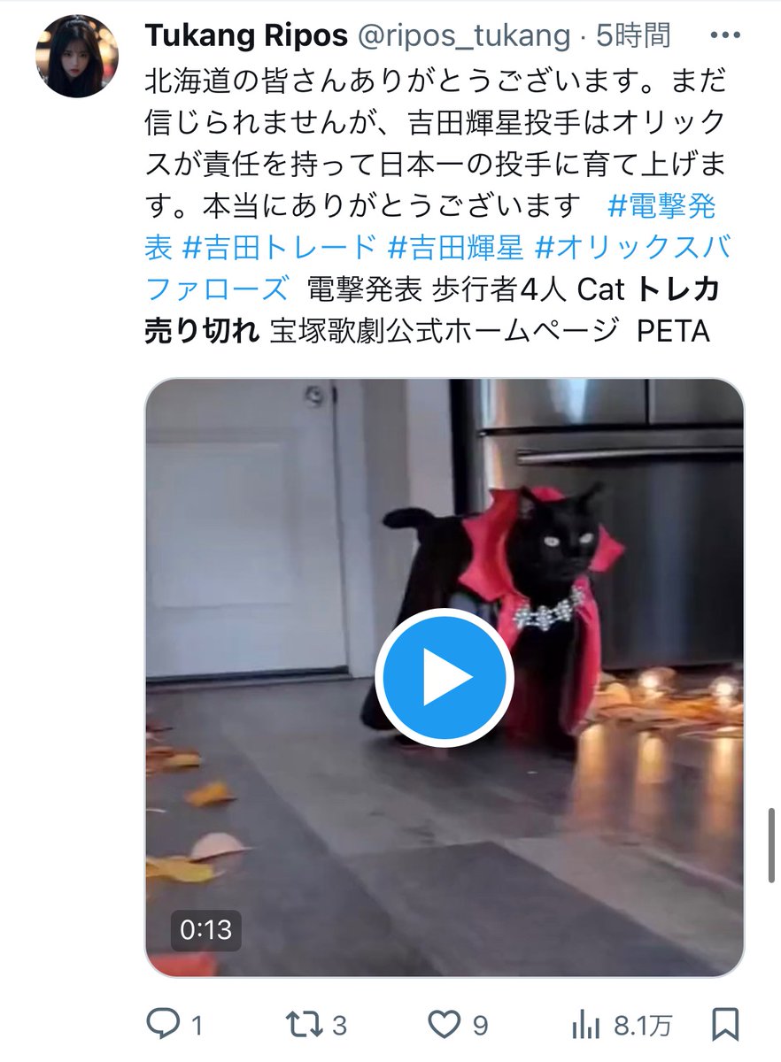 carpjakeeeeee's tweet photo. トレンドワード羅列ニキに制裁を

#インプレッション稼ぎ https://t.co/LcI5YEc52c