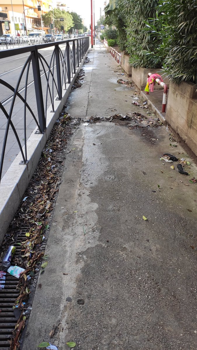 RiccM92's tweet photo. @RapPalermo vi prego, venite a pulire. Vi prego venite a liberare gli scarichi.
Vi prego non abbandonate Palermo  @robertolagalla  @ComunePalermo 
Uscire a piedi è un diritto...
V. Da Vinci, p. Ziino, via Notarbartolo, è tutto un sporco e abbandonato. https://t.co/0ojAuptzgP