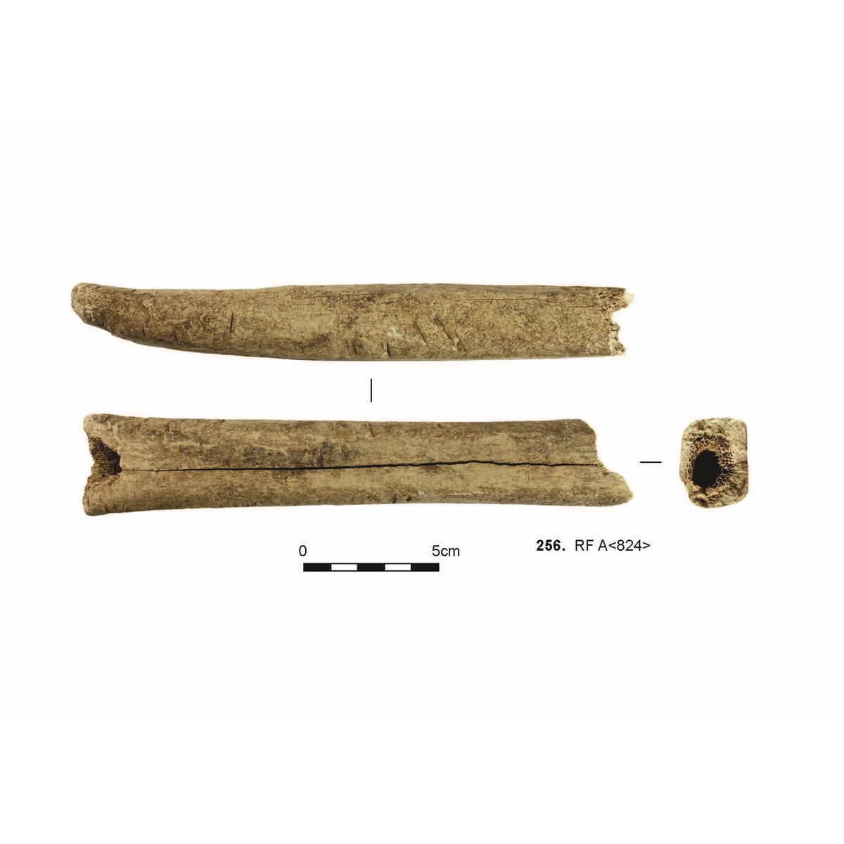 Our NEW book on Excavations in #Lewes, East Sussex, is OUT NOW! 🙌To celebrate, Elke, our Finds Officer, has picked out her favourite three finds from the whole publication: a bone pin-beater for textile working, a colourful brooch, and a bone shoe skate! ⛸ #FindsFriday