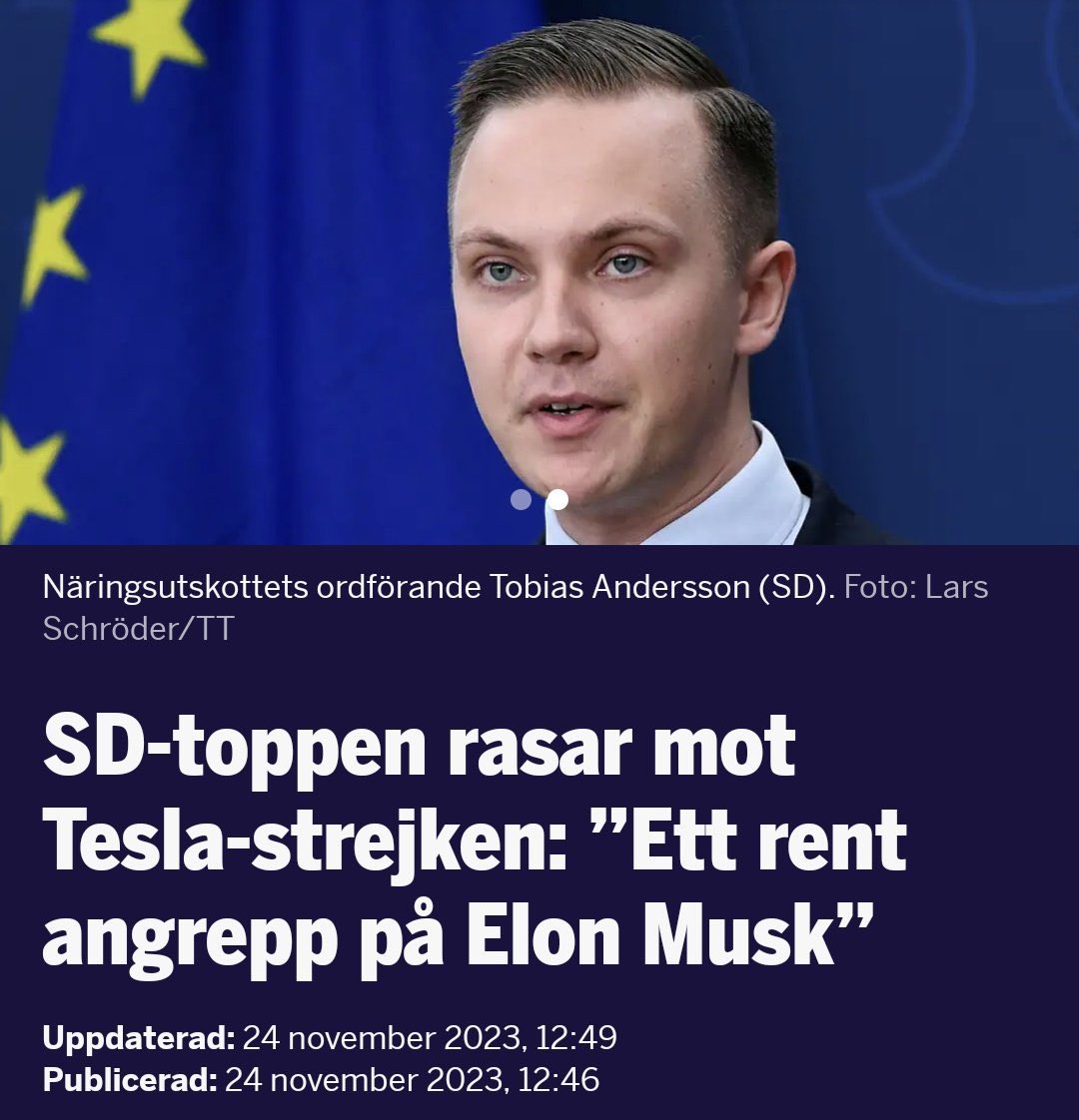 SD:s ordförande i Näringsutskottet verkar inte stå bakom den svenska modellen. Klargörande.