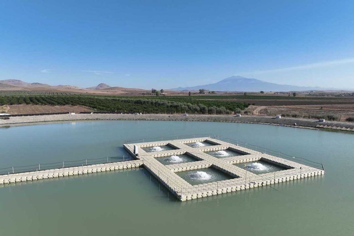 unict_it's tweet photo. #ricerca Acquacoltura, a #Ramacca un progetto #sostenibile di @unict_it
“Sampei”, rappresenta un’opportunità per i #pescatori e per le #imprese rurali
Su #UnictMagazine di #Unict
https://t.co/aaANvkj5sX https://t.co/7U2WJnUbEF