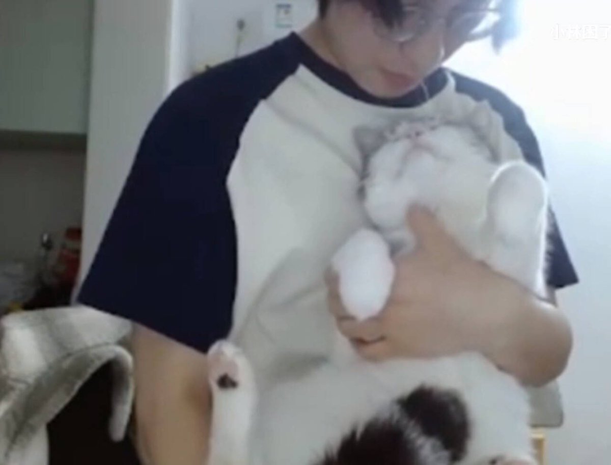 mnlike_'s tweet photo. two cats https://t.co/D6ejnnqIEt