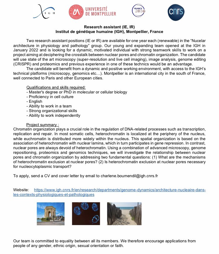 Please RT: We have two research assistant positions available in the lab to study the interplay between chromatin organization and nuclear pores using genome editing (CRISPR/Cas9) and advanced microscopy/quantitative image analysis. Looking forward to welcoming new lab members!