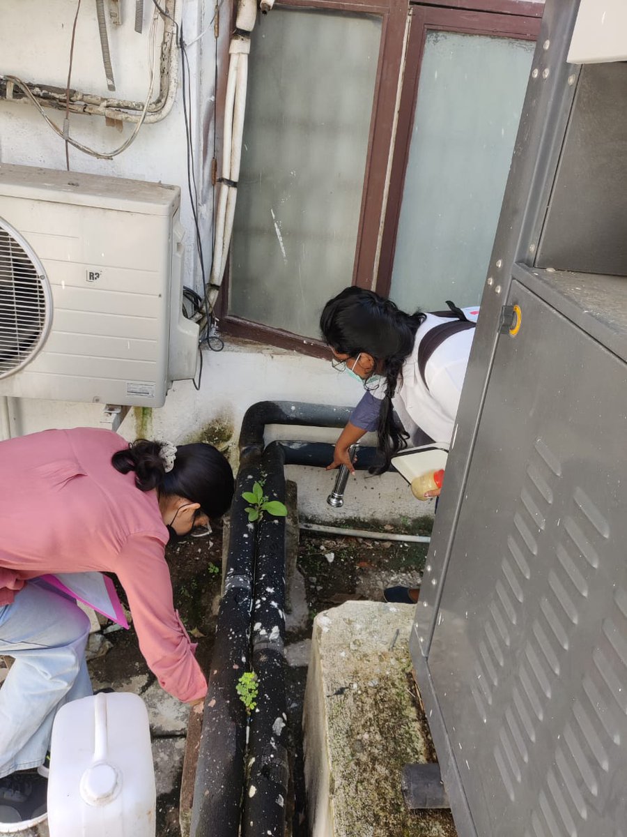 ICMRVCRC's tweet image. To control the rising Dengue cases in #Puducherry, 14 Teams from @AVMCH3 and @ICMRVCRC took part in #VectorControl Campus Walk and eliminated mosquito breeding sources.
Underwater larval and pupal stages are the easiest to control mosquitoes
#SwachhtaHiSeva #SwachhtaCampaign