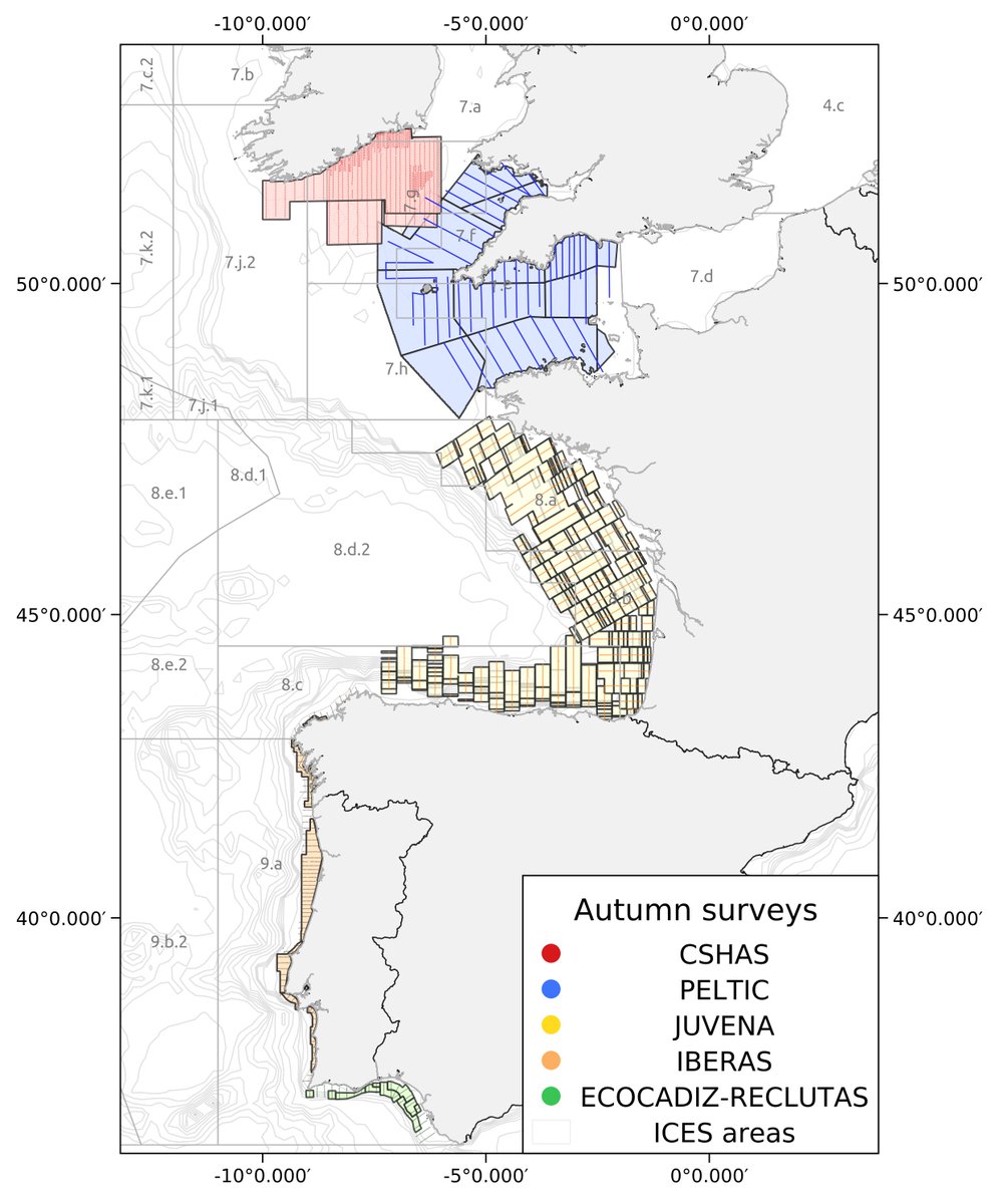 GuillermoBoyra's tweet photo. Last week, I had the honor of chairing the @ICES WGACEGG at @azti_brta, coordinating oceanographic surveys for abundance assessments of small pelagic species in southwestern European waters. Working towards #SustainableFisheries and effective #FisheriesManagement. https://t.co/EfO2Usqz5s