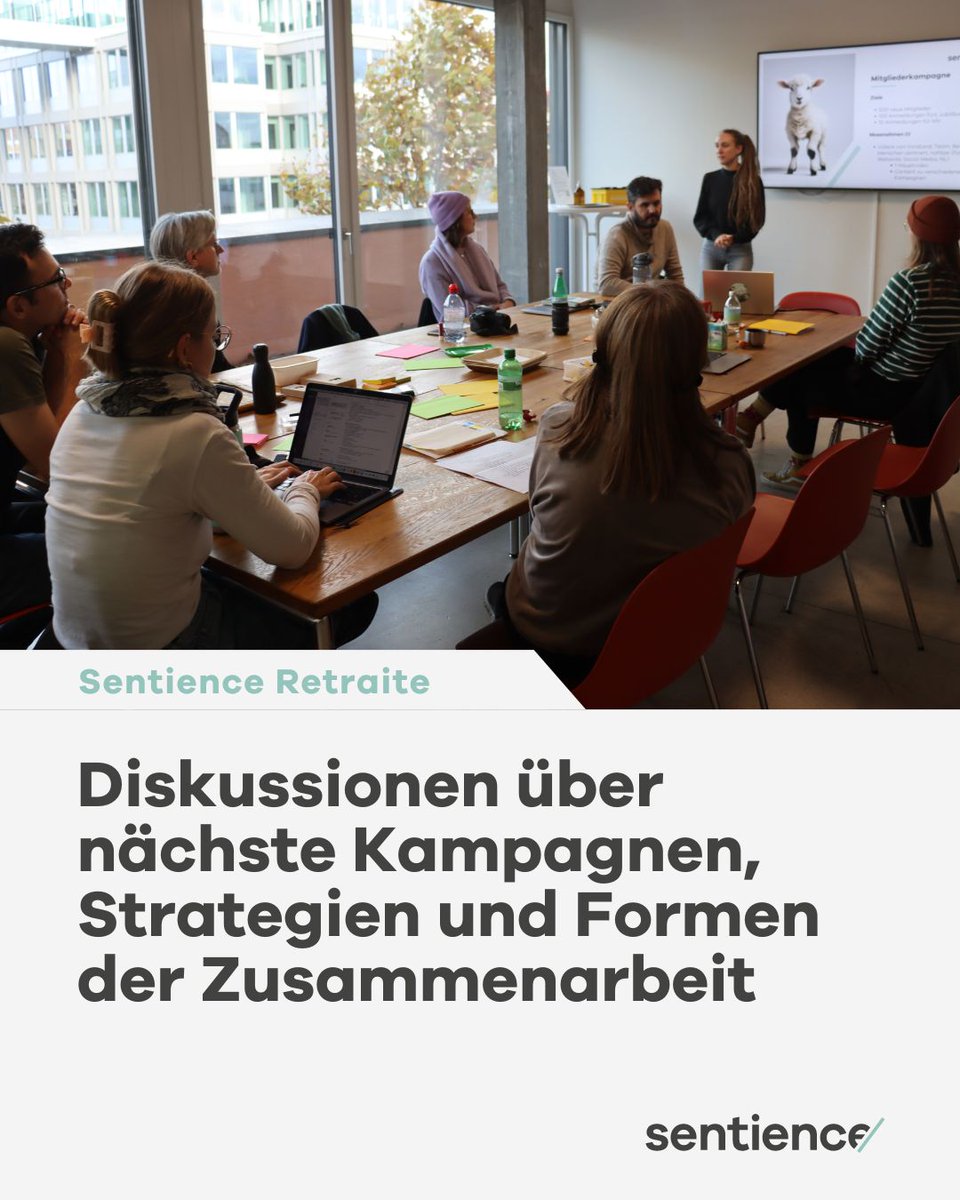 Sentience – Politik für Tiere tweet media