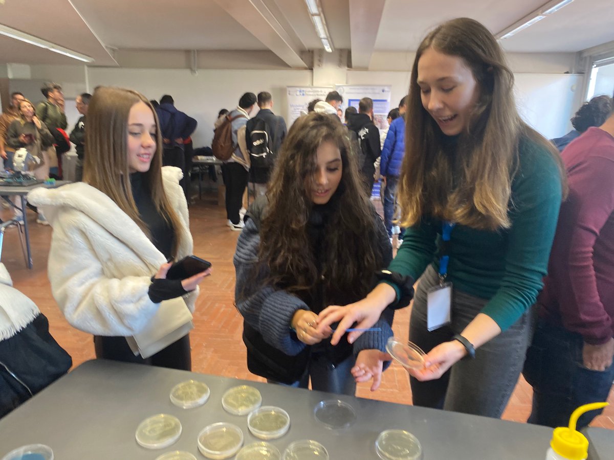 _Maria_Romano's tweet photo. @eli_kram is showing bacteria on Petri dishes with amazing artistic skills #pizzalove #snowflake #bacteria #Christmas https://t.co/oe2fIWzvob