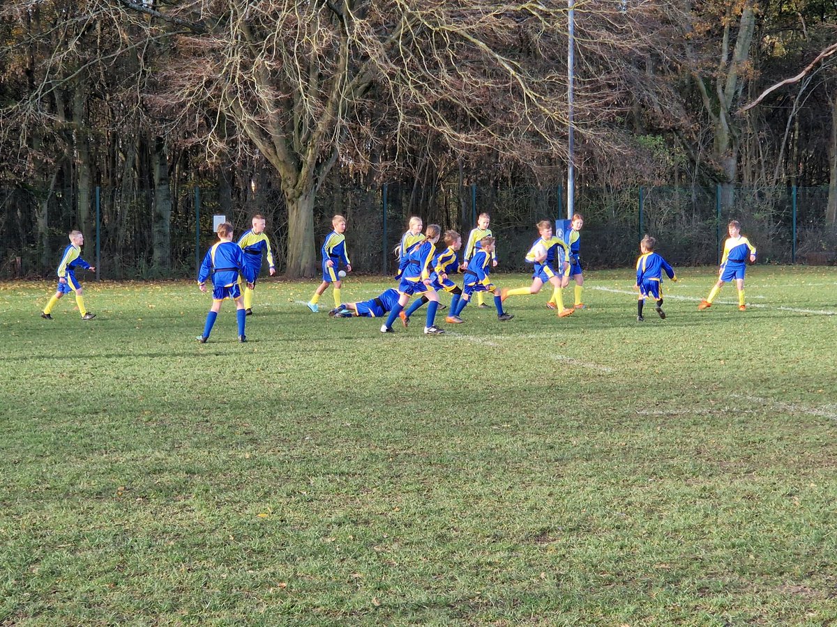 Hill House School, Doncaster tweet media