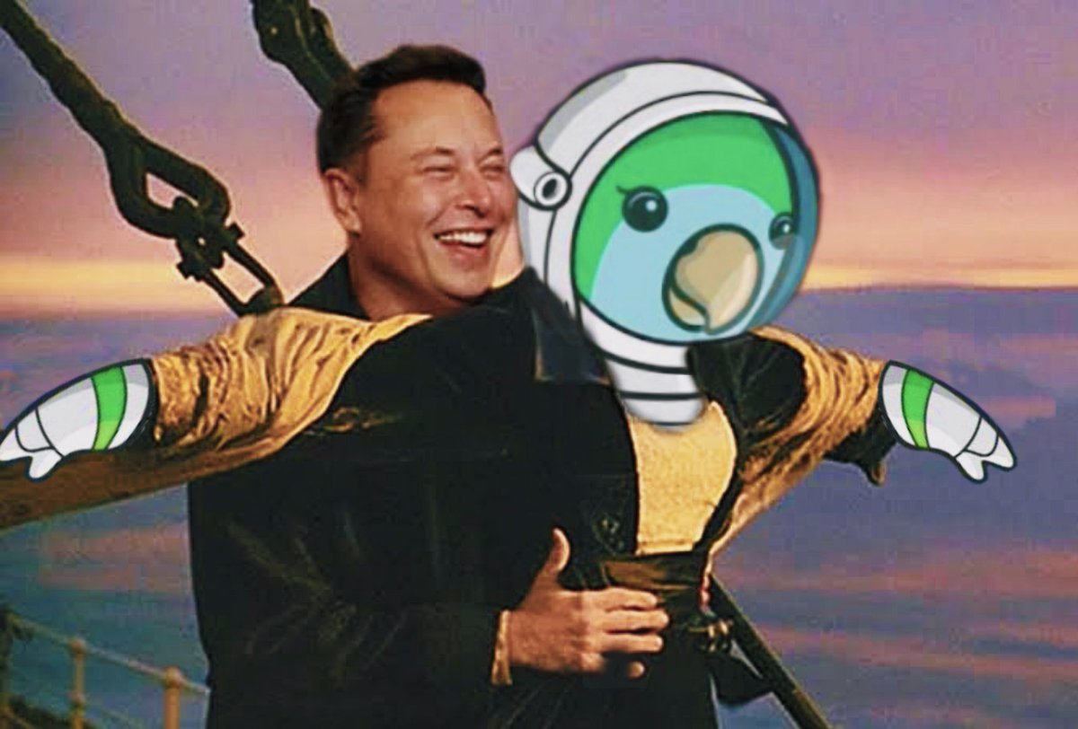 kelleyobri3n's tweet photo. @BirbDefi Happy Thanksgiving $BIRB @BirbDefi 

Unlike most memecoins that is based on just hype, #BIRBDEFI is a project that is not just based on hype but is backed up with solid utilities and fundamentals, team is not relenting🔥🔥  #BIRBAI #BIRBNFTS #BNB https://t.co/vm9IeccT4w