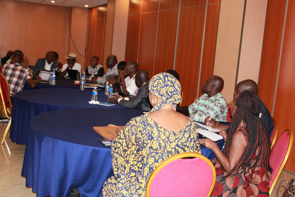 Les parties prenantes  issues des ministères, instituts de recherches publics et privés, partenaires techniques et financiers, organisations de la société civile etc , réparties en groupe relisent le document en profondeur en vue d'apporter des recommandations pour l'enrichir.