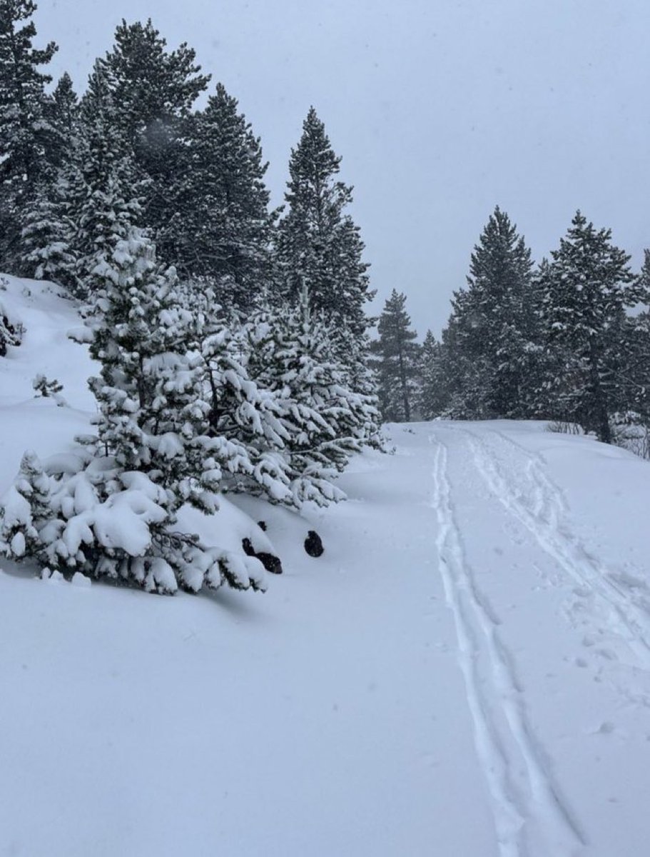 Benasque_'s tweet photo. ⛷️Los Llanos del Hospital de Benasque anuncian la apertura para el 1 de diciembre. Será la única estación de esquí abierta sin el uso de innivación. https://t.co/ZeA2uYU7IT