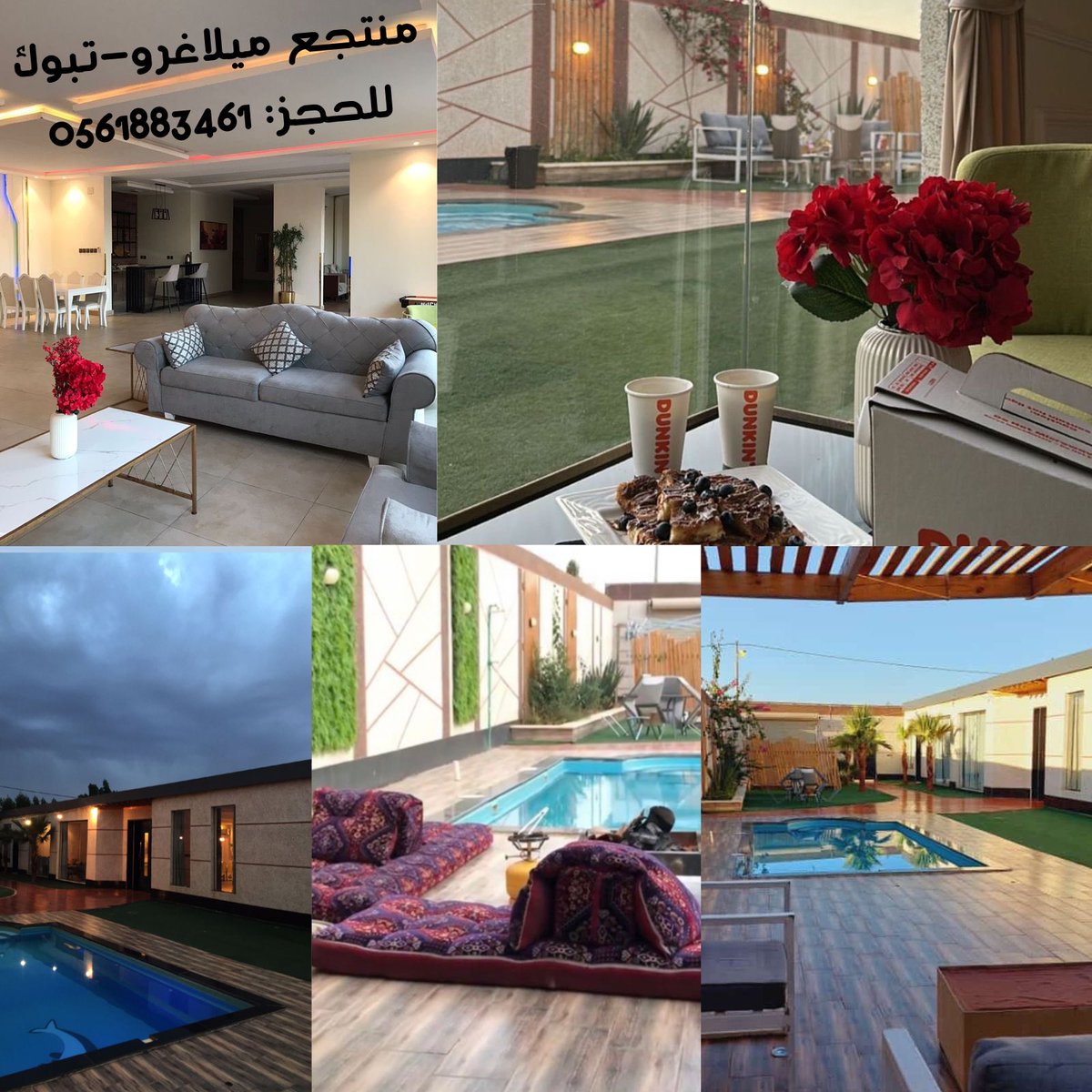 #تبوك_الان

أعجبني هذا العرض في حراج
haraj.com.sa/11126309367?sr…

إعلانات أخرى للبائع: i businessman
haraj.com.sa/users/i%20busi…

حراج أكبر منصة بيع وشراء سعودية
سيارات|عقارات|أثاث|أجهزة|حيوانات|أزياء|خدمات|وظائف|وأكثر…