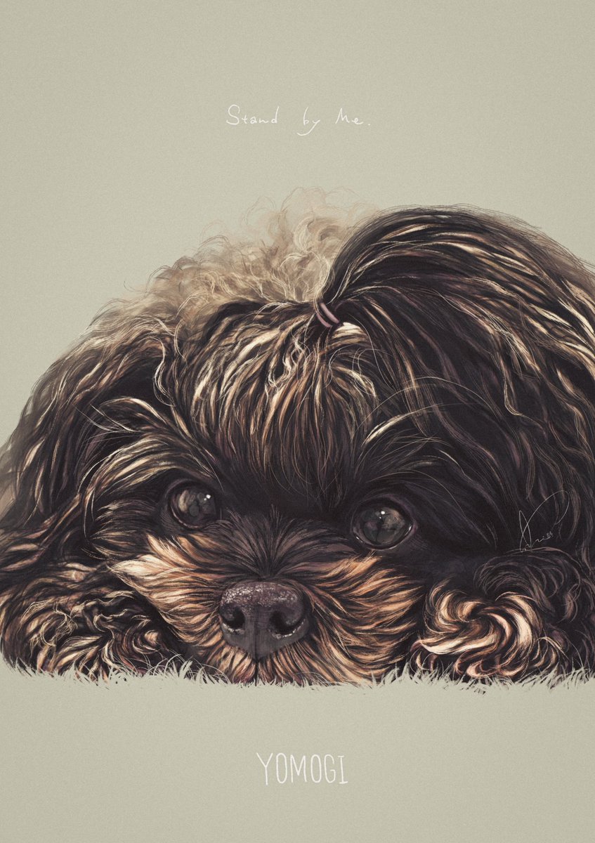 「愛犬を、とのご依頼でした」|sakio🐾書籍「4ステップで誰でもかわいく描ける いぬとねこのイラスト練習帖」発売中🐾のイラスト