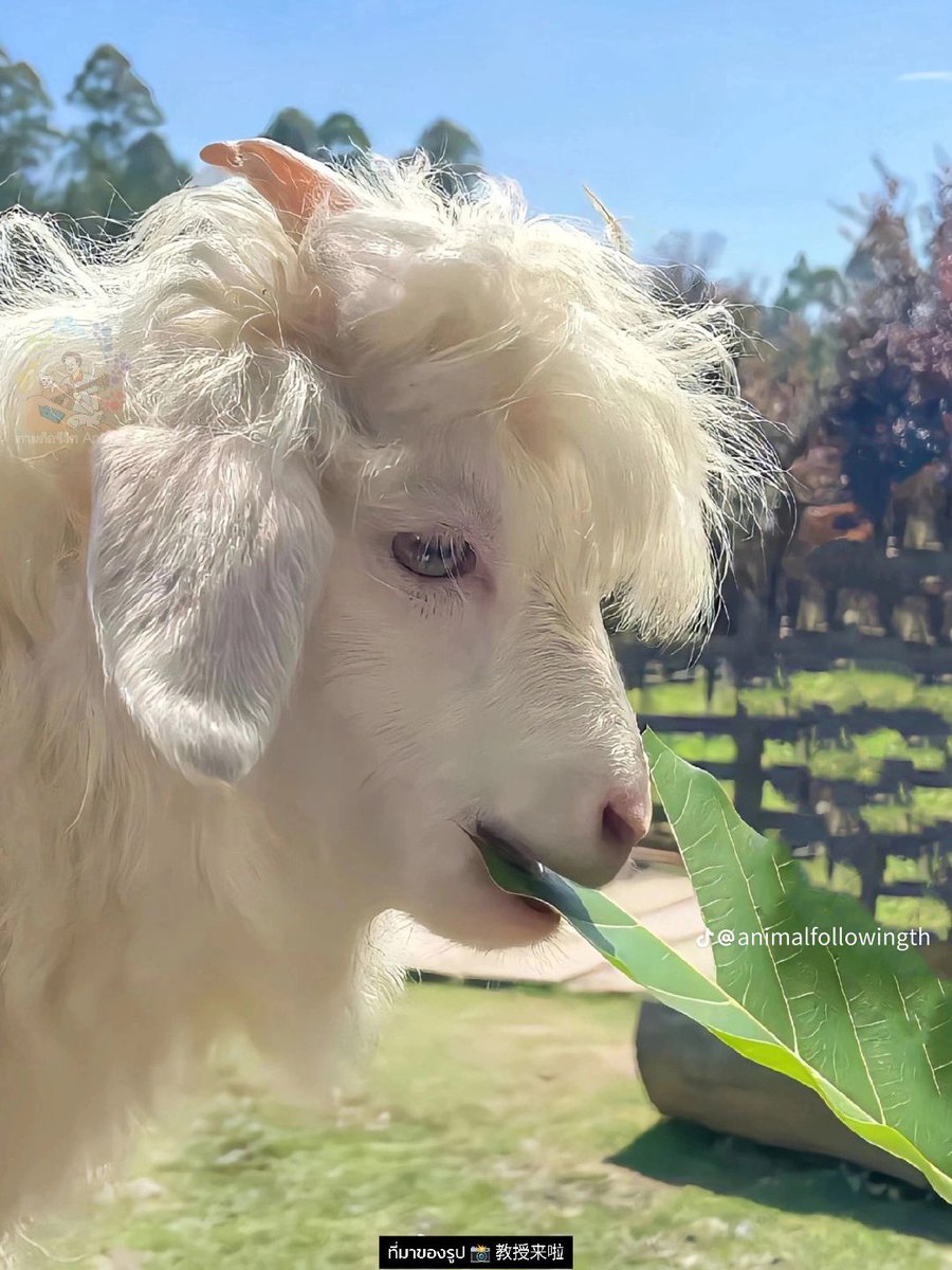 ๒๓ (@mipuxten) on Twitter photo 