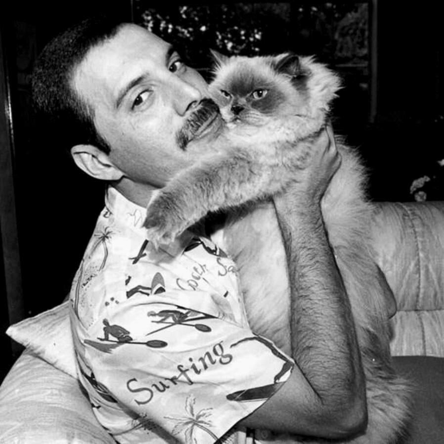 🖤 #FreddieMercury